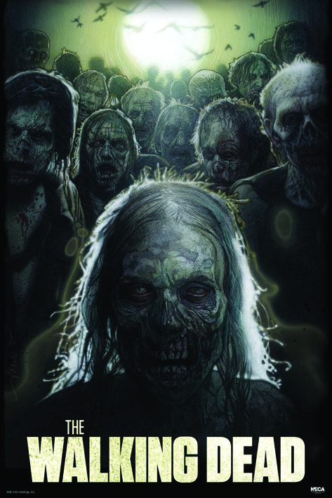 JUN112060 - DREW STRUZAN WALKING DEAD POSTER - Previews World