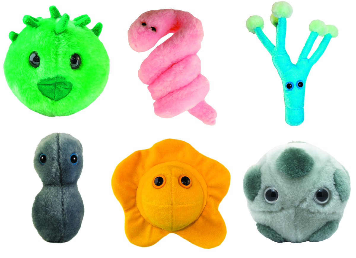 stuffed microbes