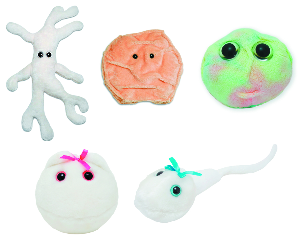 microorganism stuffed animals