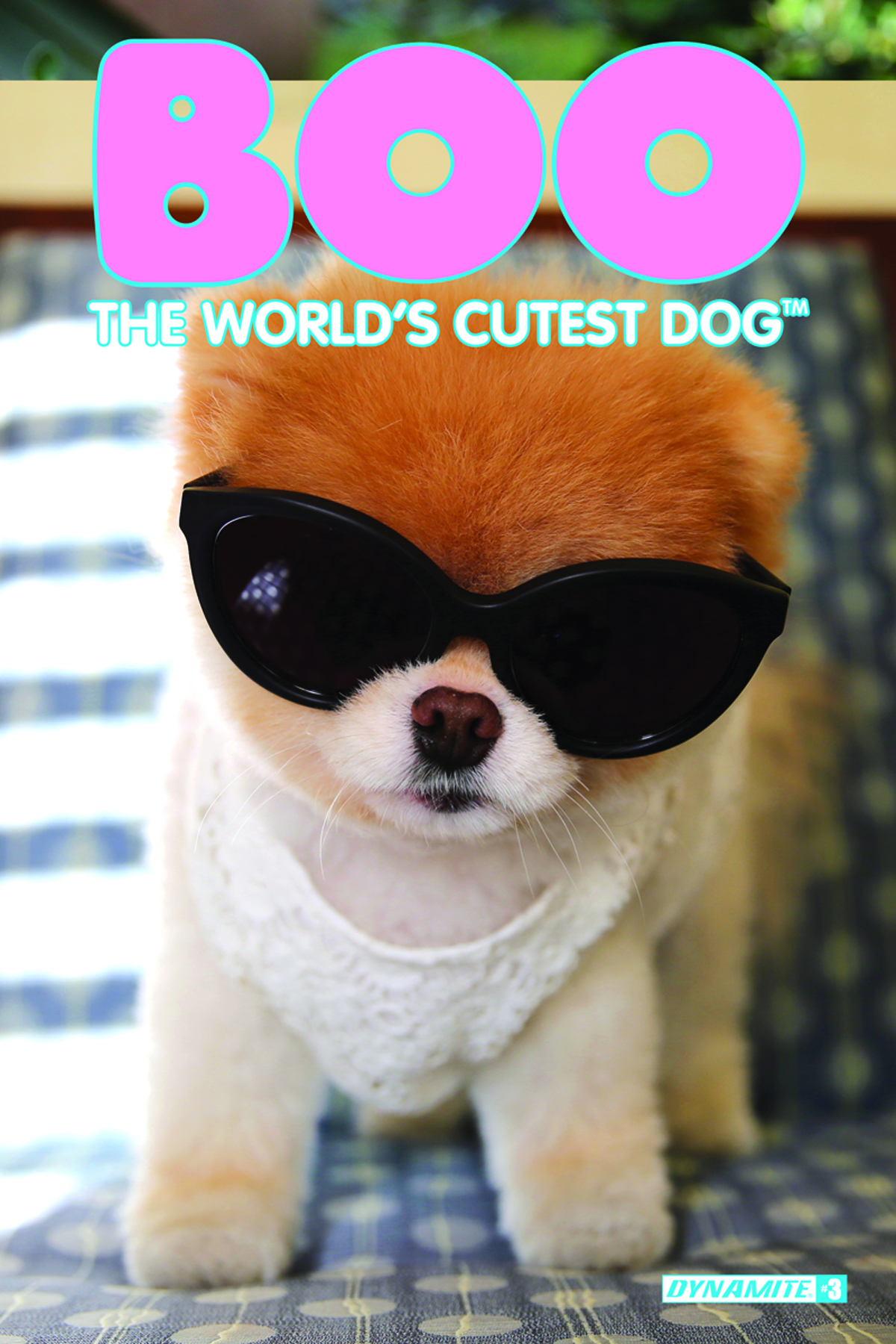 BOO WORLDS CUTEST DOG #3 (OF 3) CVR D PHOTO EXC SUBSCRIPTION