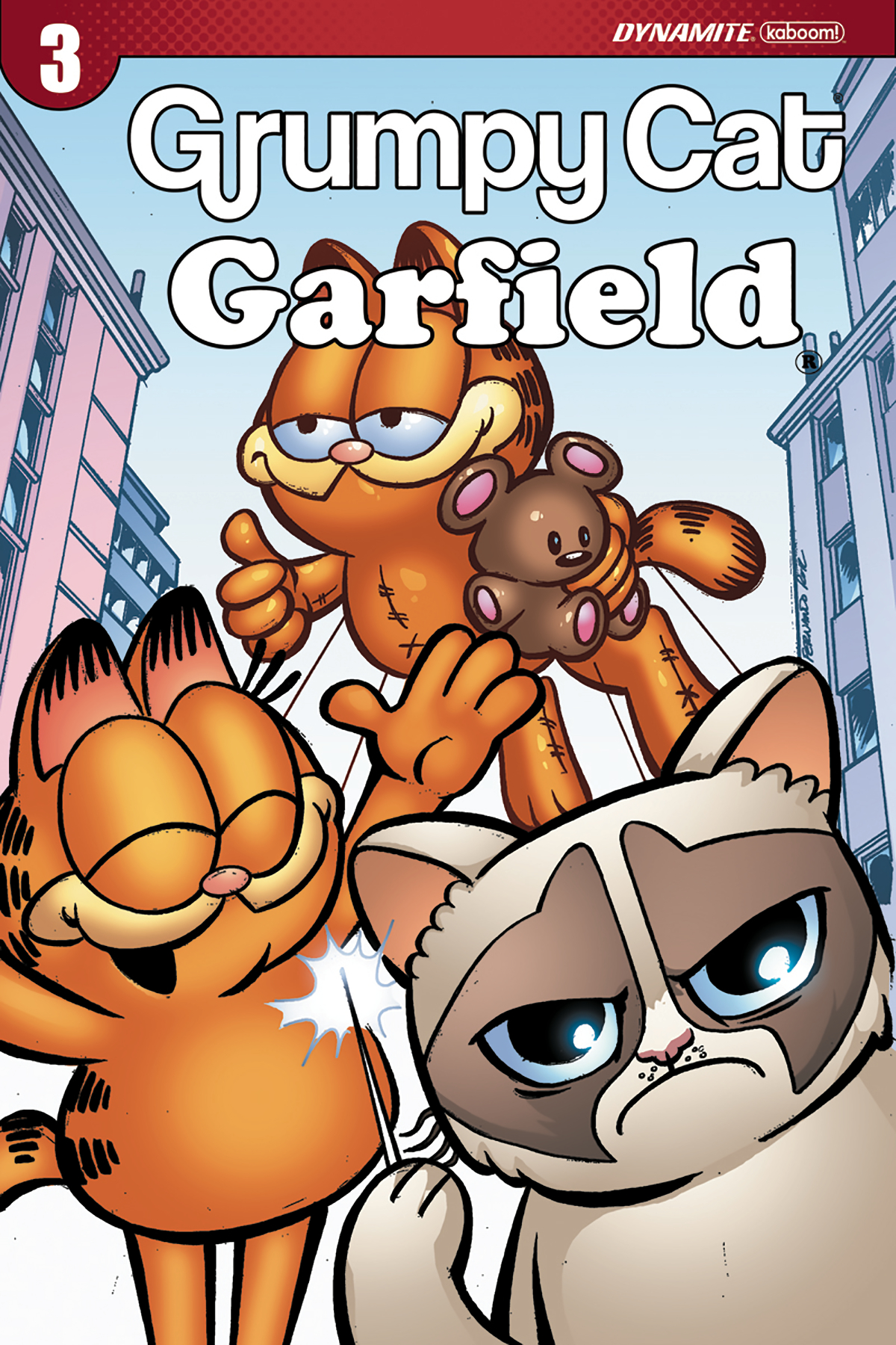 GRUMPY CAT GARFIELD #3 (OF 3) CVR C RUIZ
