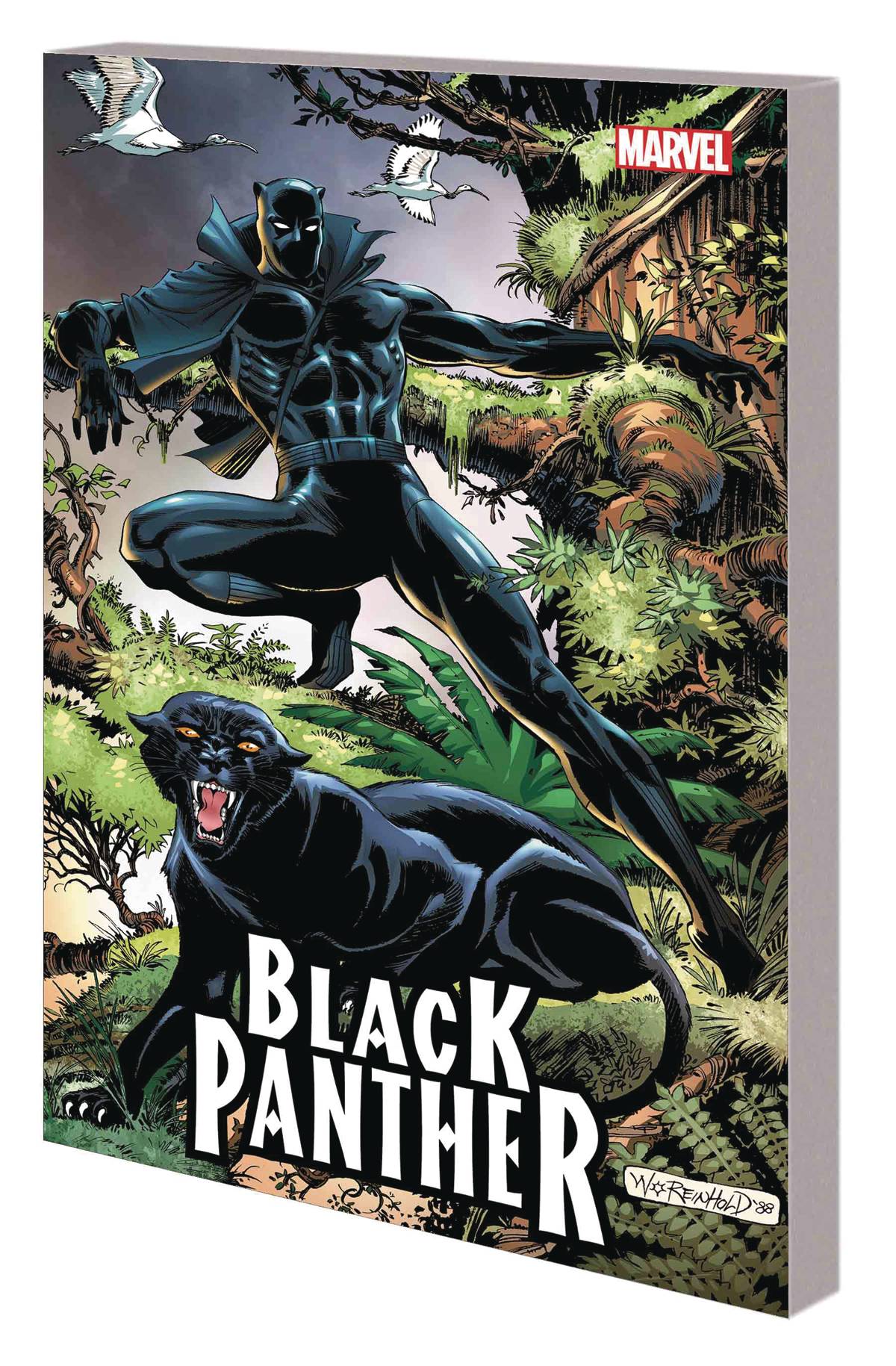 BLACK PANTHER PANTHERS QUEST TP