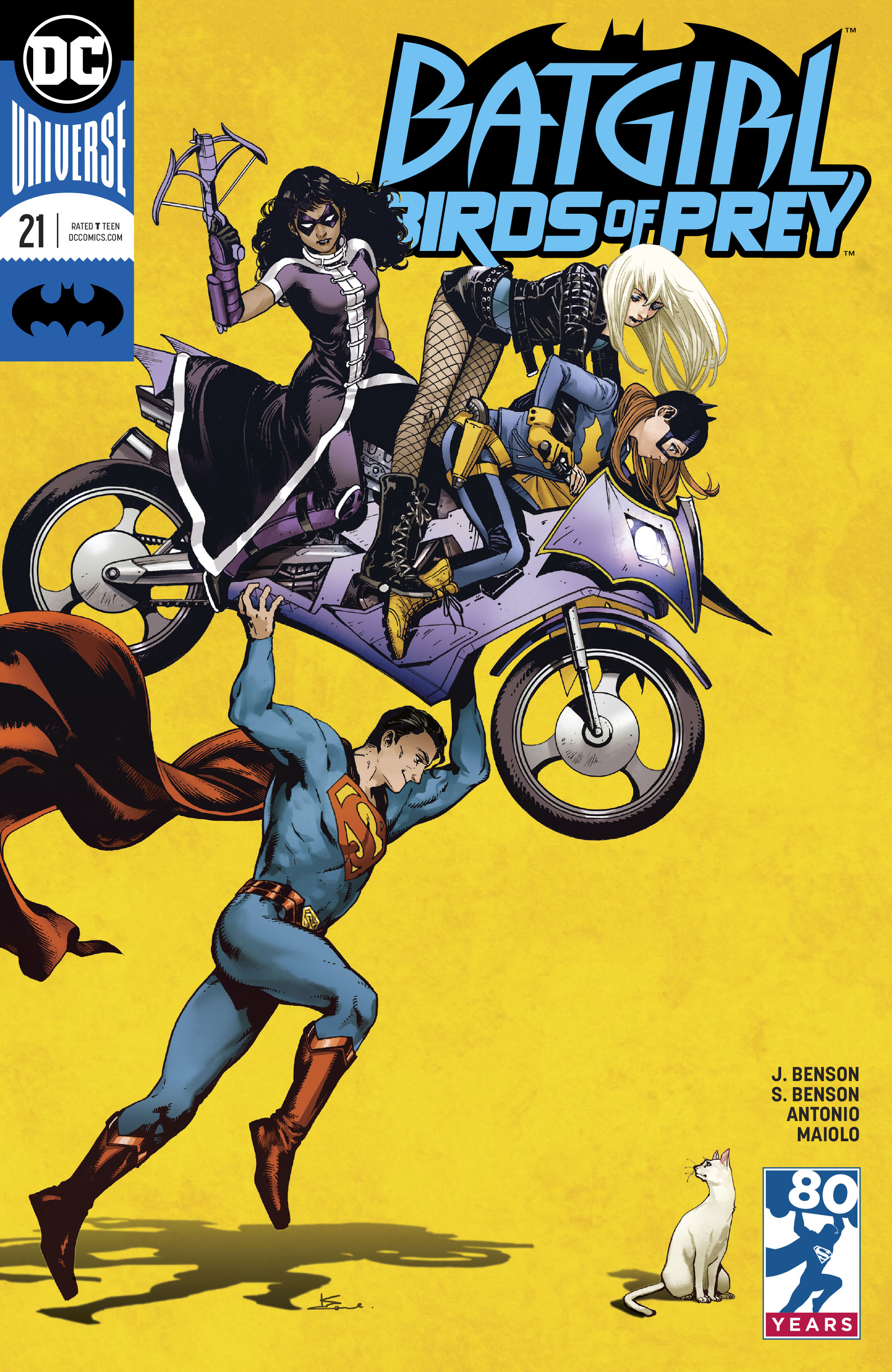 Batgirl and birds of prey