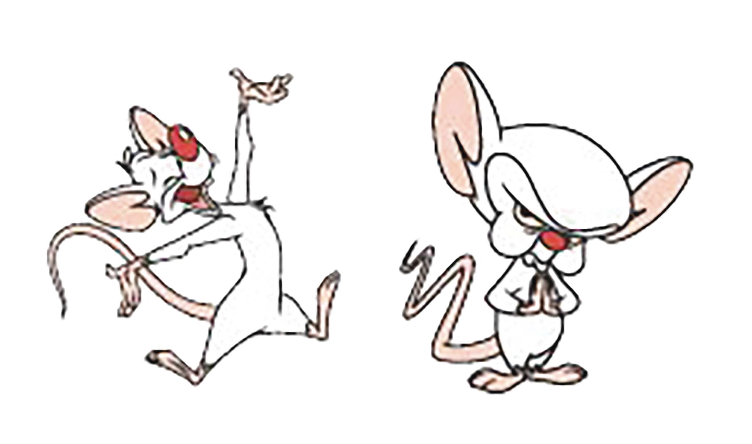 Nov178246 Pinky And The Brain 2pc Lapel Pin Set Previews World