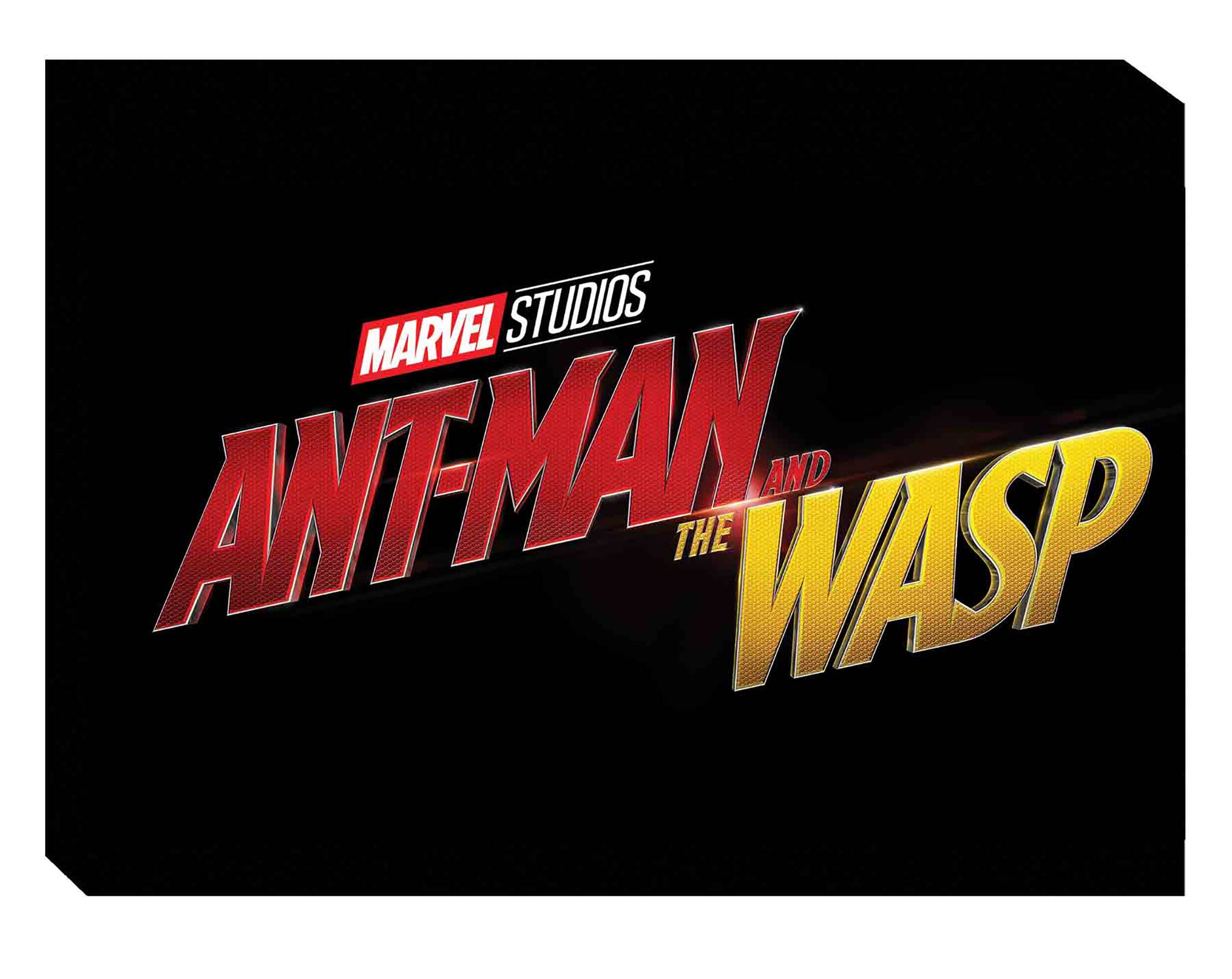 MARVELS ANT-MAN AND WASP ART OF MOVIE HC
