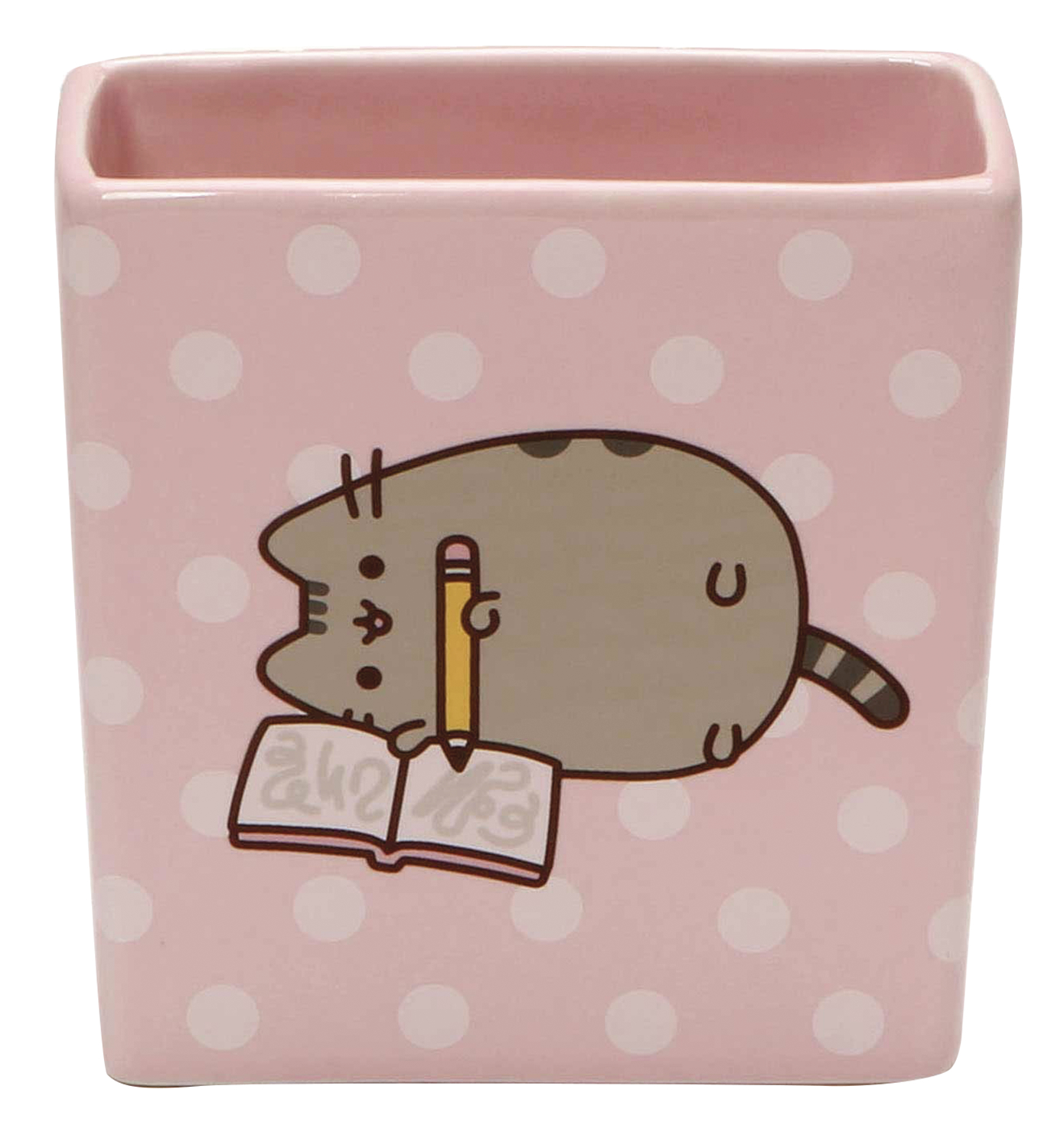 Pusheen Pencil Case  Pusheen pencil case, Pusheen, Pusheen