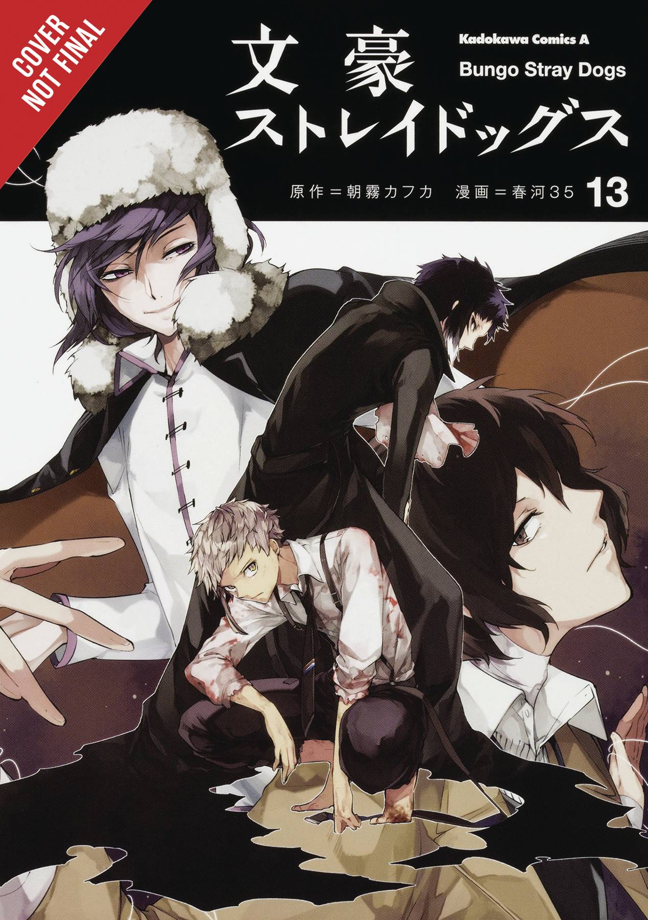 BUNGO STRAY DOGS GN VOL 13