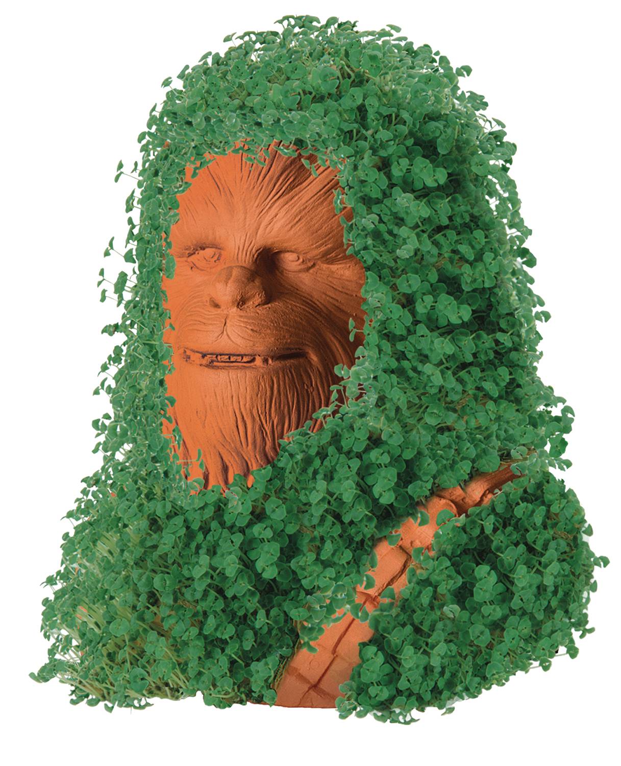 JUN198794 - CHIA PET STAR WARS CHEWBACCA - Previews World