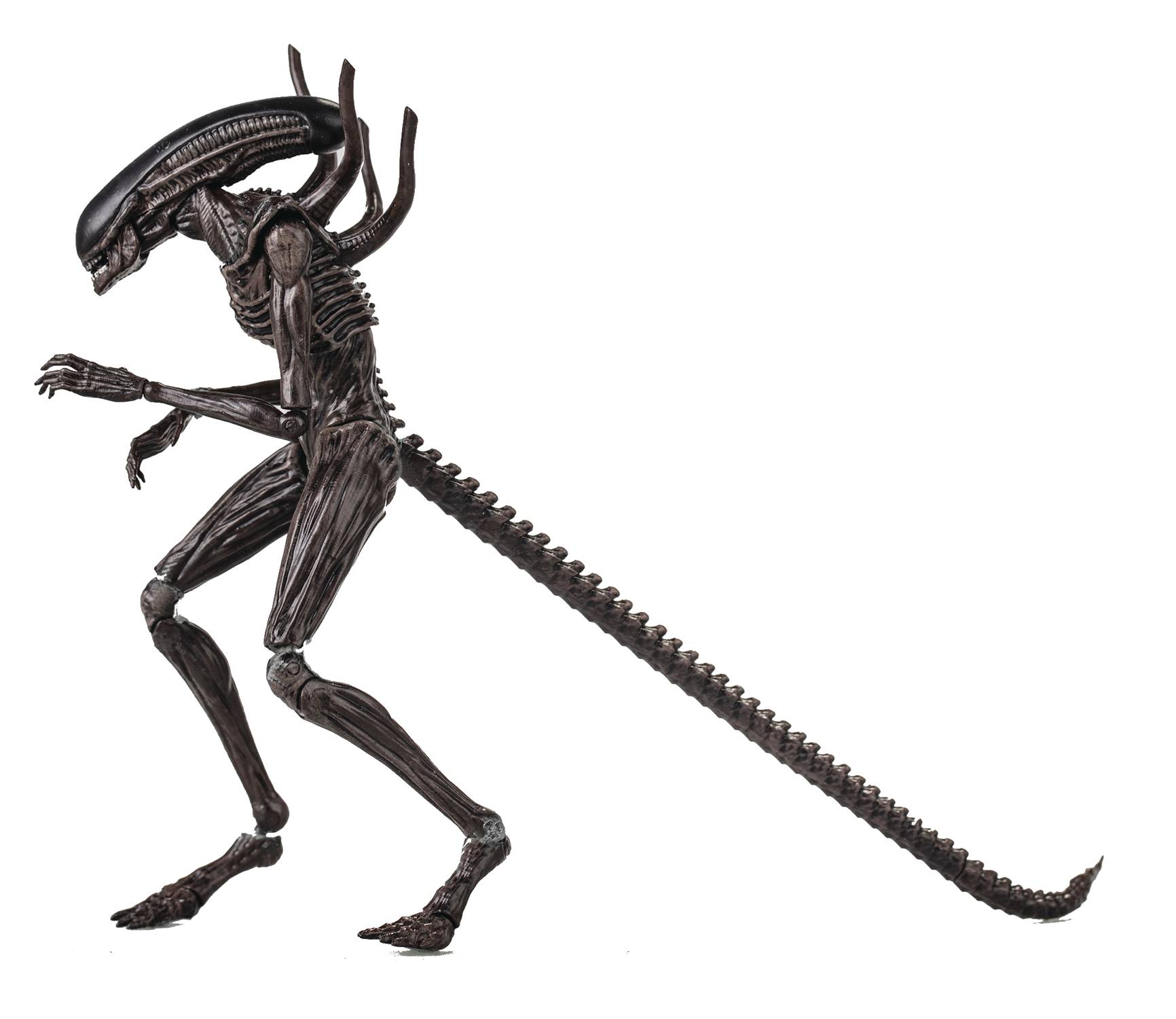 ALIEN COVENANT XENOMORPH PX 1/18 SCALE FIGURE (JUN208379) (C