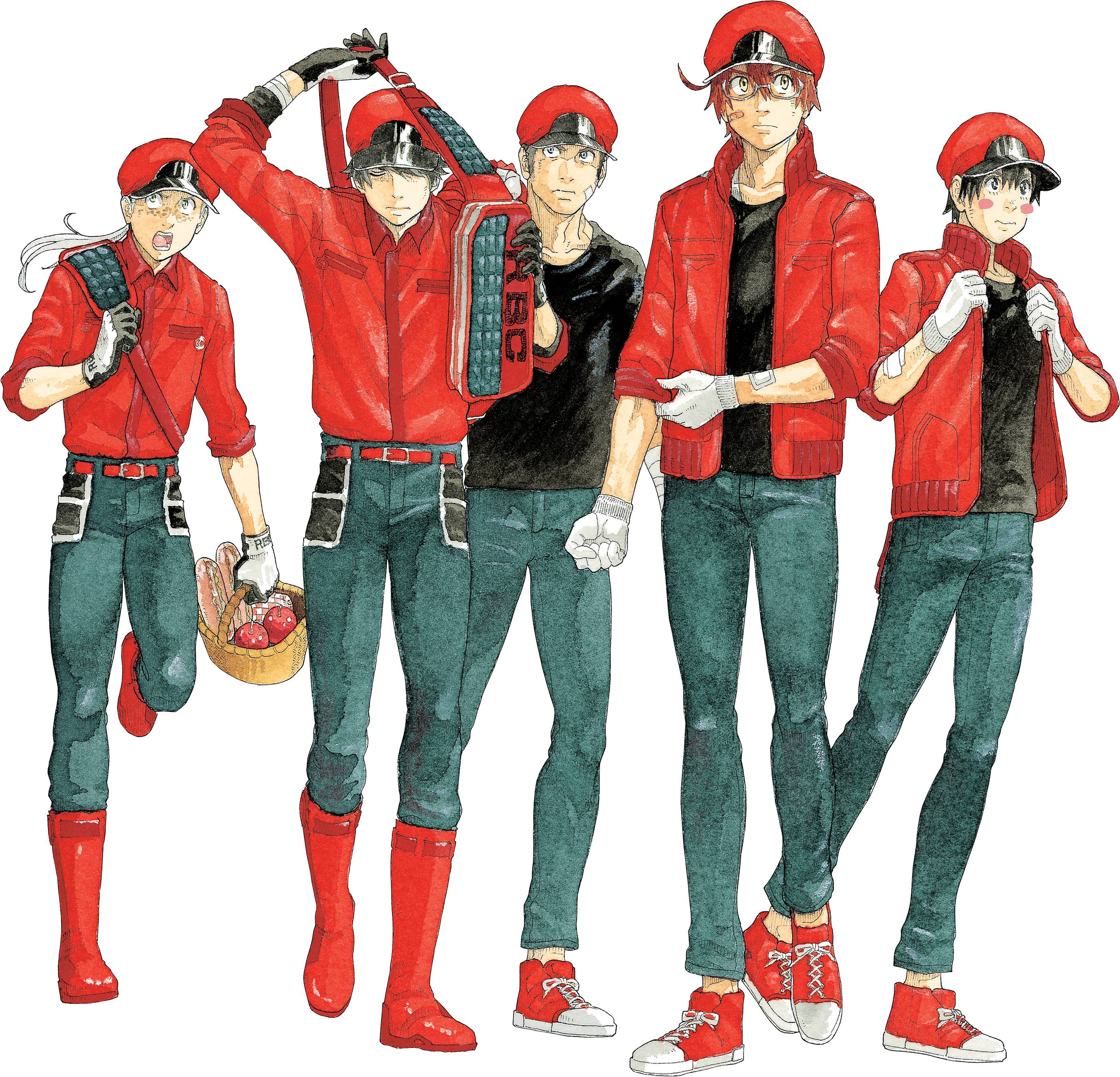 Cells at work, red blood cell