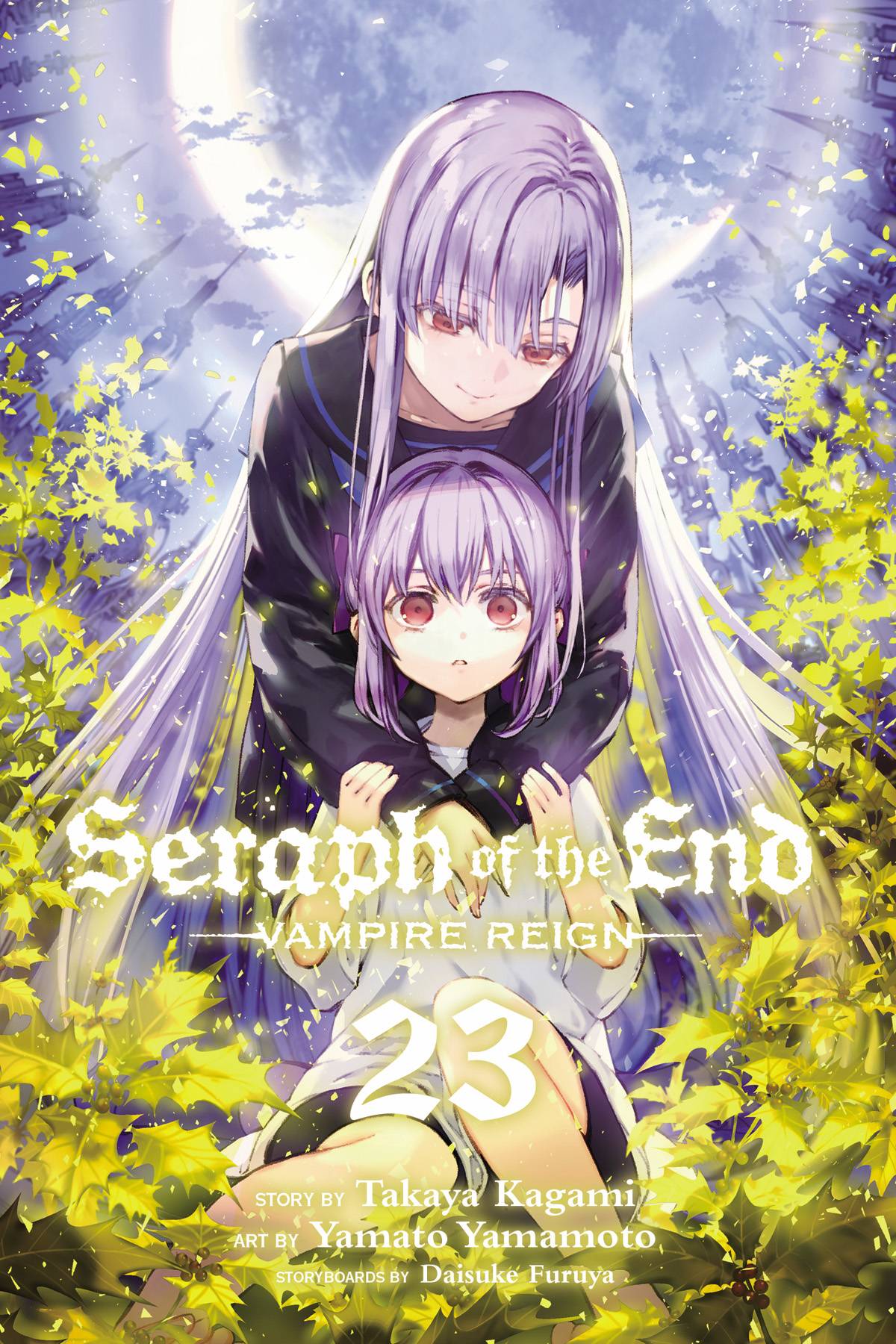 Light Novel Volume 23/Illustrations