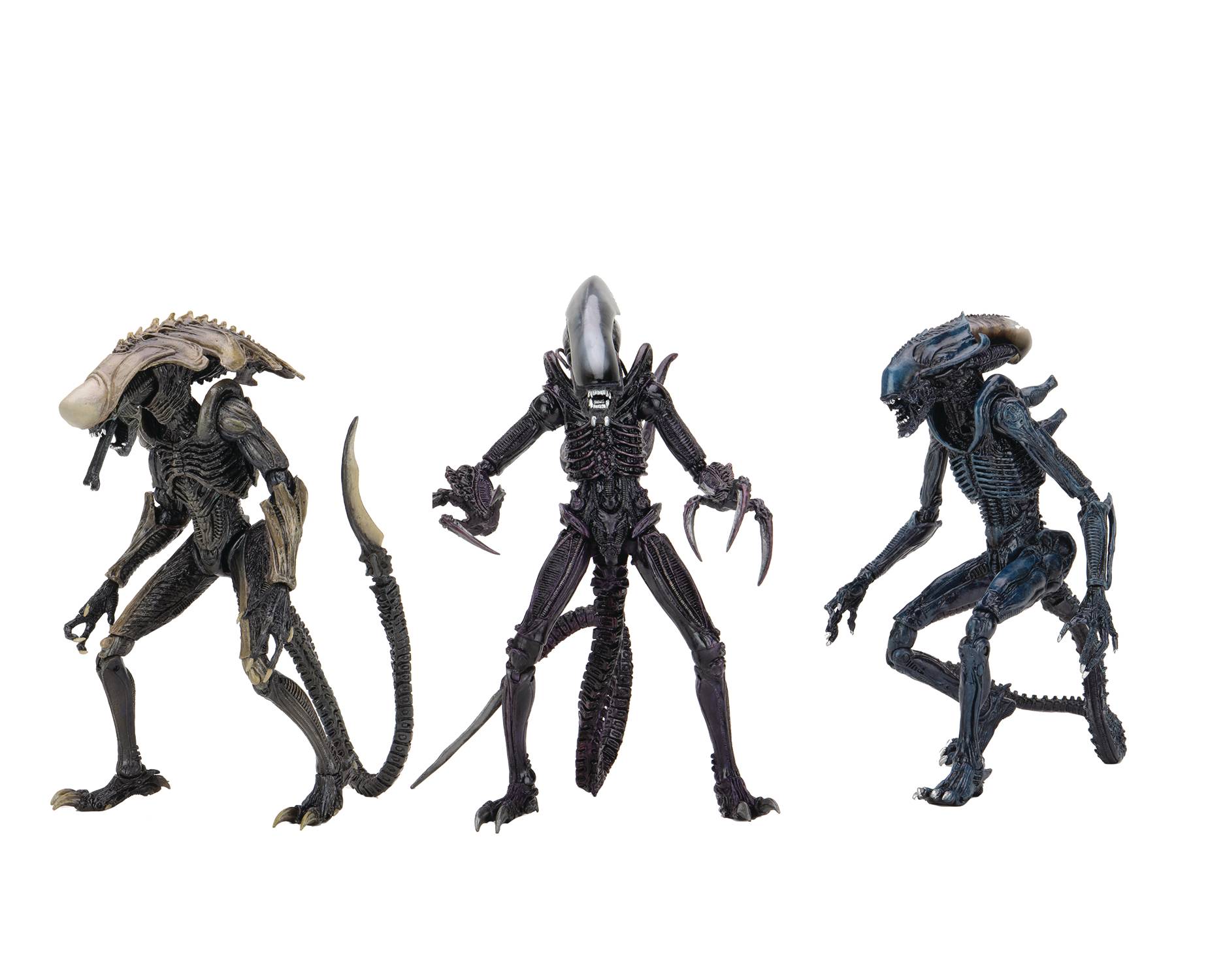 ALIEN VS PREDATOR MOVIE DECO ALIEN 7IN AF ASST