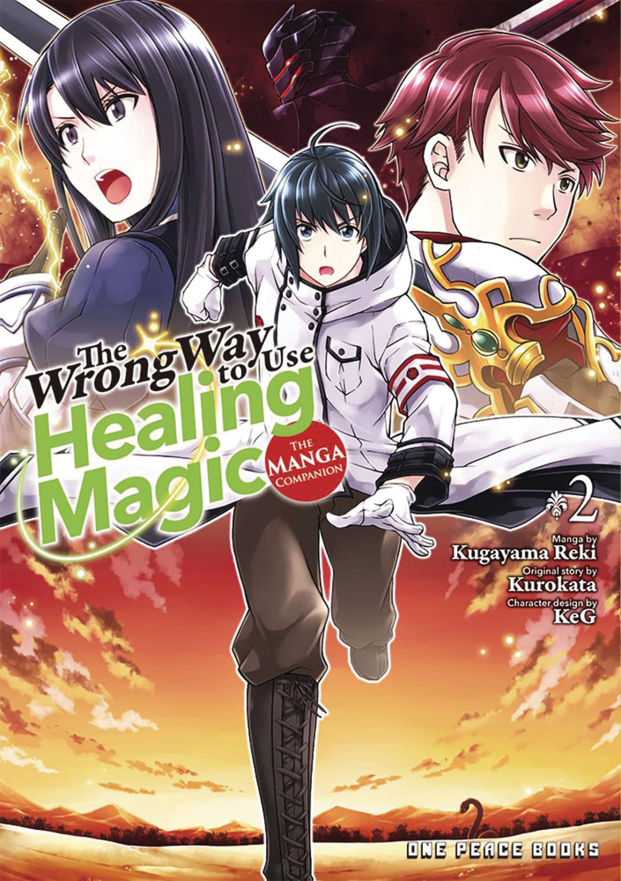 WRONG WAY USE HEALING MAGIC GN VOL 02