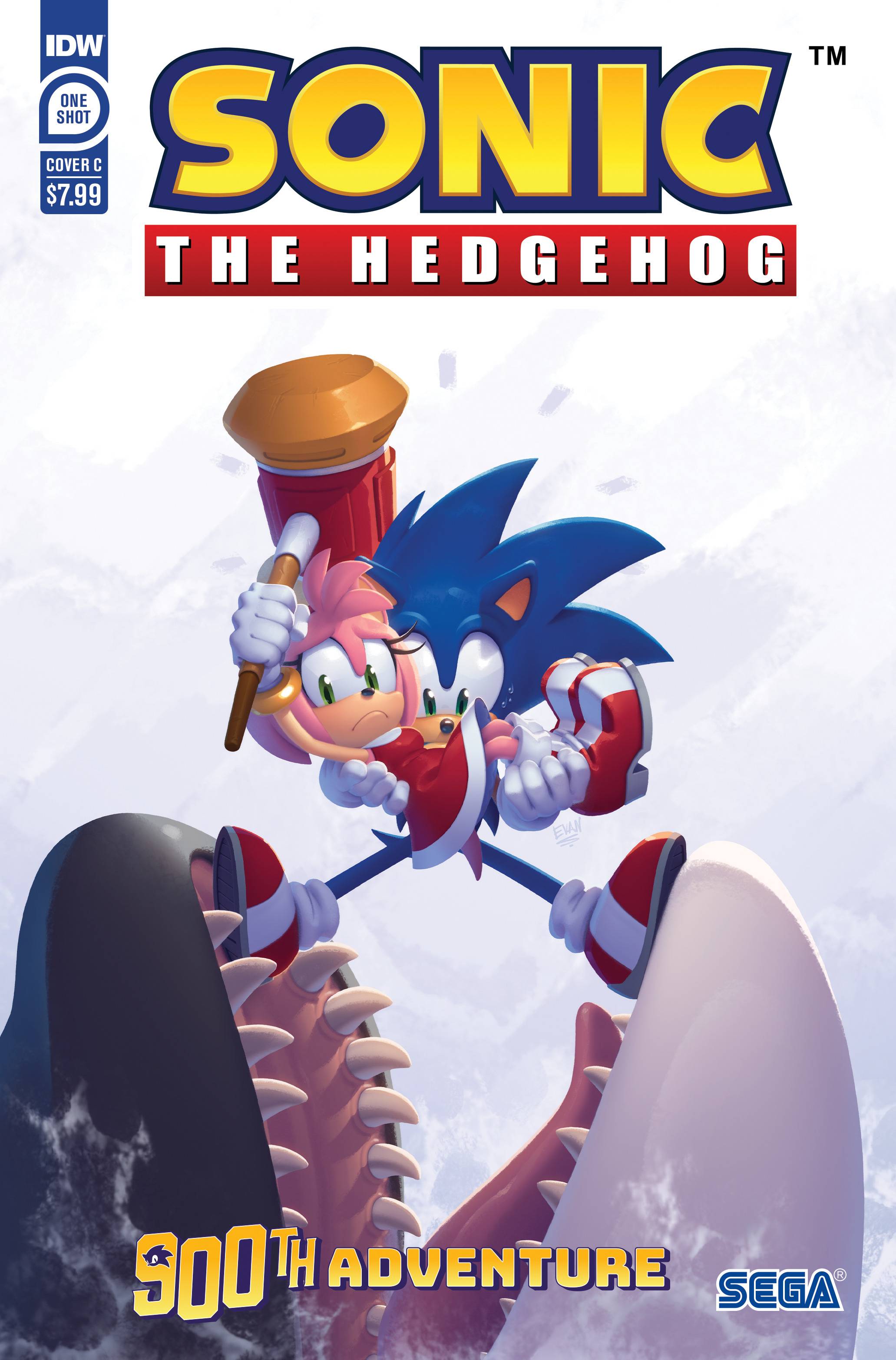 Sonic the hedgehog 900th adventure