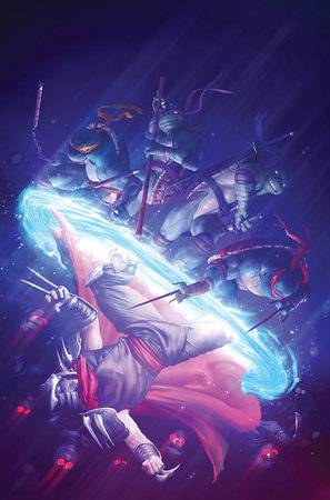  82771403179900141 | TMNT SPLINTERED FATE @1 COVER D 25 RAHZZAH FULL ART | IDW  