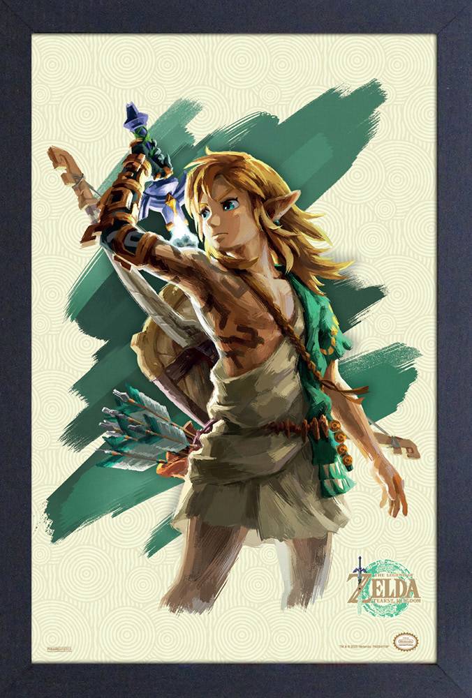 APR238010 - LOZ TOTK LINK WITH SWORD FRAMED PRINT - Previews World