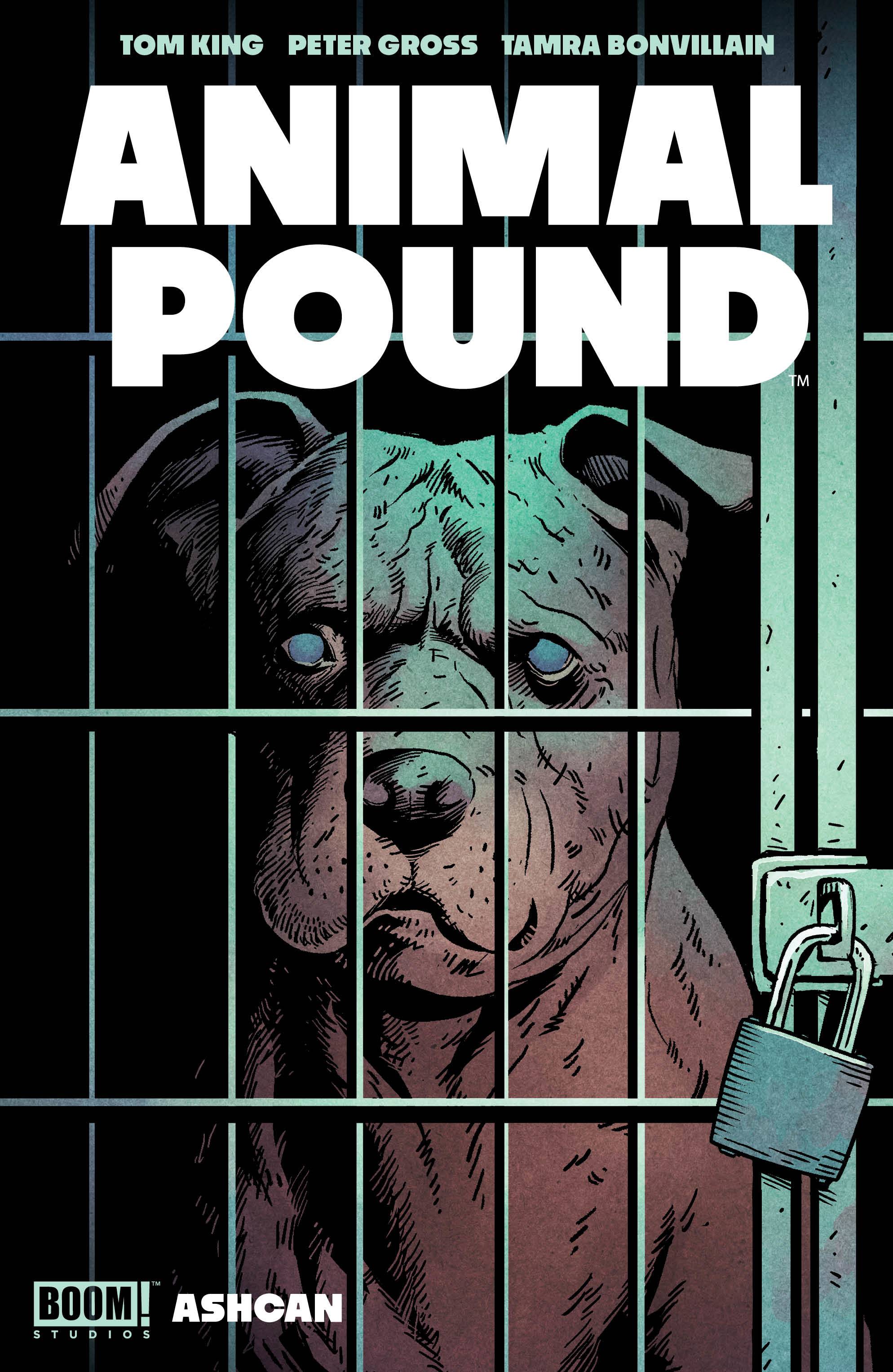 SEP230037 ANIMAL POUND CVR A ASHCAN GROSS Previews World