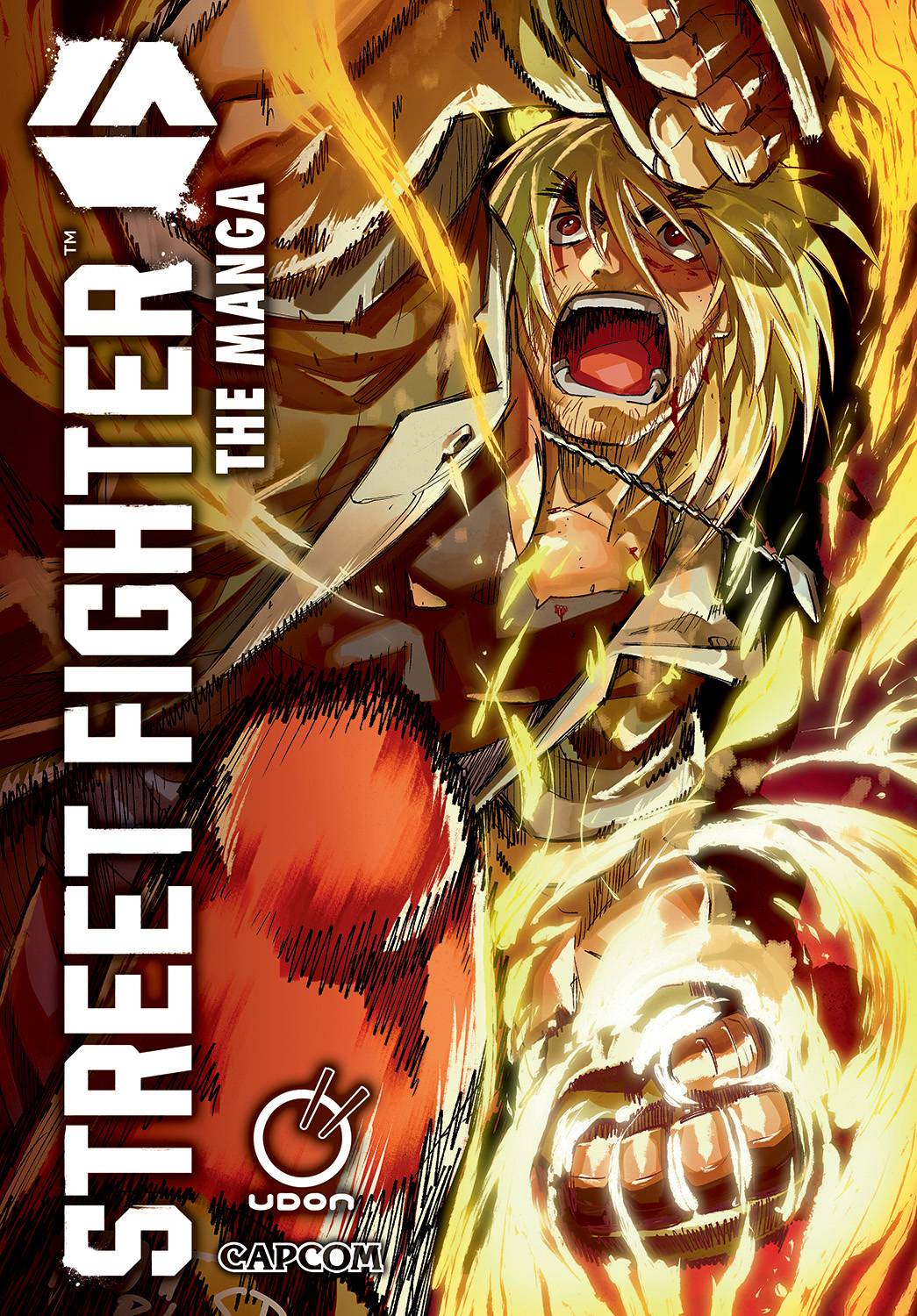 STREET FIGHTER 6 THE MANGA GN - PRE ORDER/ÖN SİPARİŞ [JUN25]