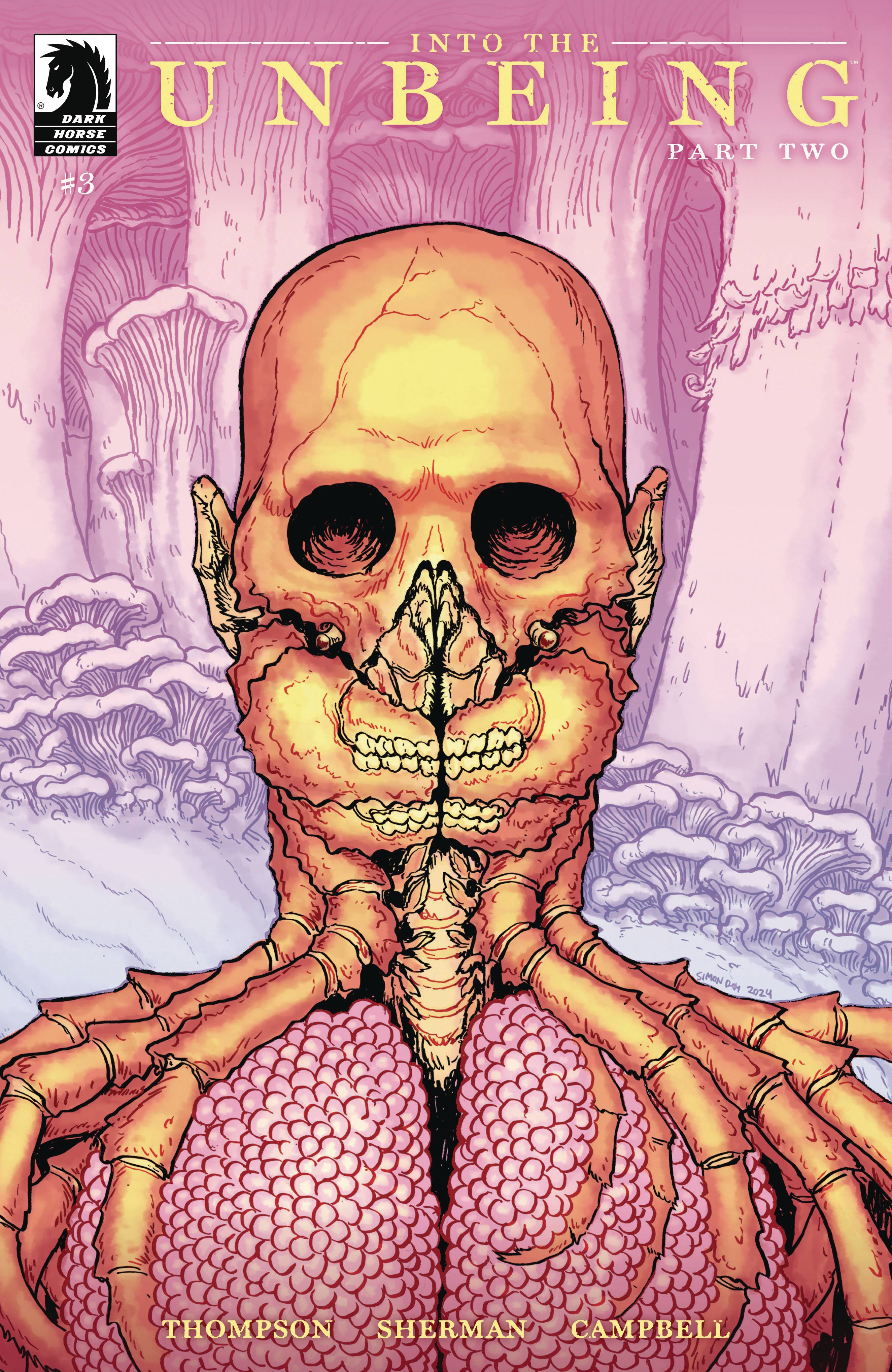 INTO UNBEING PART TWO #3 CVR B ROY - PRE ORDER [FOC 29.03]