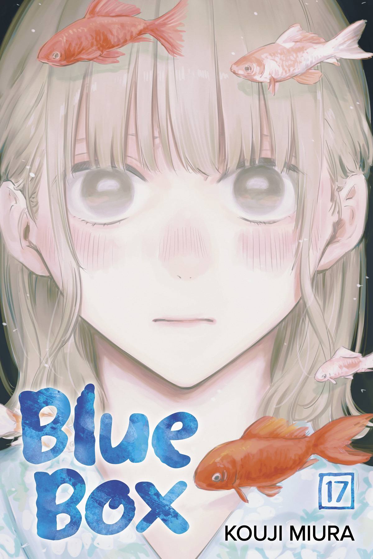 BLUE BOX GN VOL 17 - PRE ORDER/ÖN SİPARİŞ [JUL25]