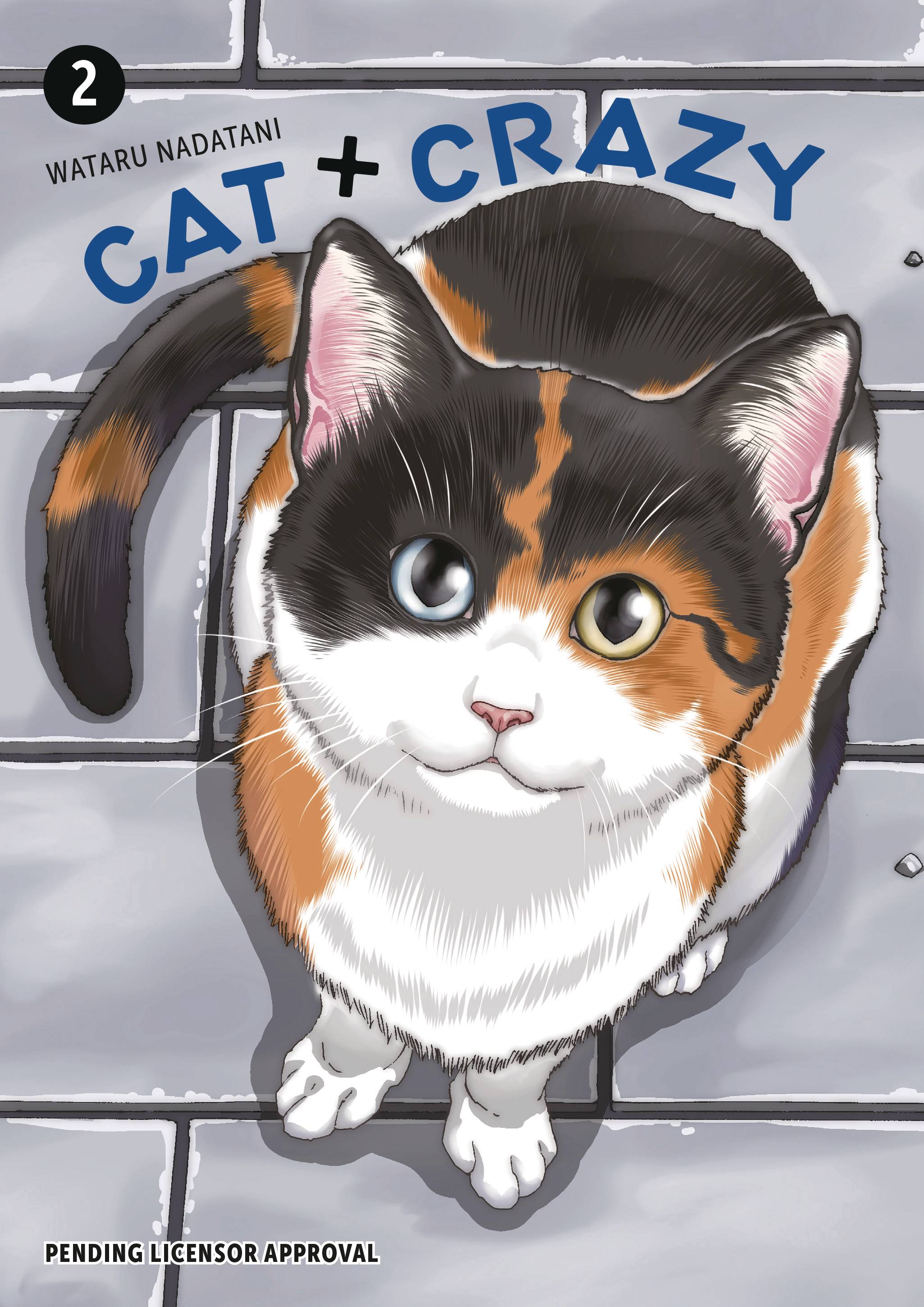 CAT CRAZY GN VOL 02 - PRE ORDER/ÖN SİPARİŞ [JUN25]