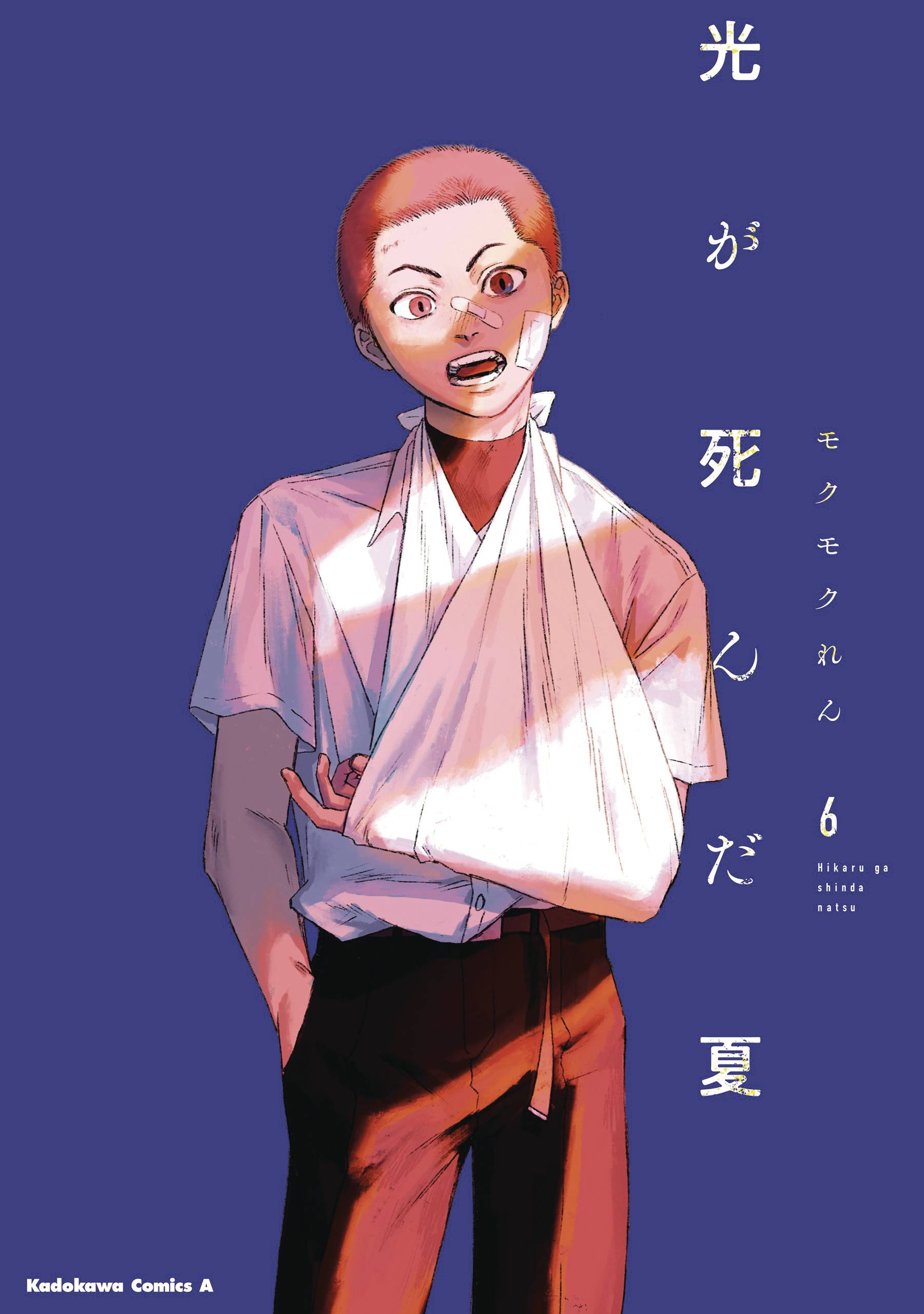 SUMMER HIKARU DIED GN VOL 06 - PRE ORDER/ÖN SİPARİŞ [JUL25]