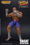 Page 1 for STORM COLLECTIBLES STREET FIGHTER SAGAT 1/12 AF  (MAR19