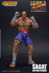 Page 2 for STORM COLLECTIBLES STREET FIGHTER SAGAT 1/12 AF  (MAR19