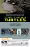 Page 2 for TMNT ONGOING #102 CVR A CAMPBELL