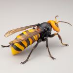 Page 5 for REVOGEO JAPANESE GIANT HORNET PVC FIG