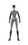Page 1 for BATMAN ANIMATED CATWOMAN 1/6 SCALE COLLECTIBLE FIG REGULAR (