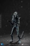 Page 1 for ALIENS BLUE ALIEN WARRIOR PX 1/18 SCALE FIGURE (JUN208380) (