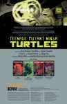Page 2 for TMNT ONGOING #135 CVR A FERO PE