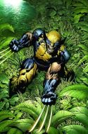 WOLVERINE MAGAZINE Thumbnail