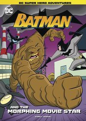 DC SUPER HEROES BATMAN YR TP Thumbnail