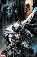 MOON KNIGHT LEG Thumbnail