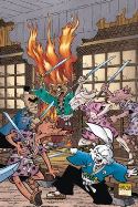 USAGI YOJIMBO THE HIDDEN Thumbnail