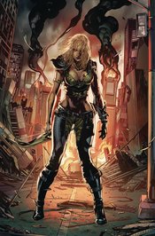 ROBYN HOOD VIGILANTE Thumbnail