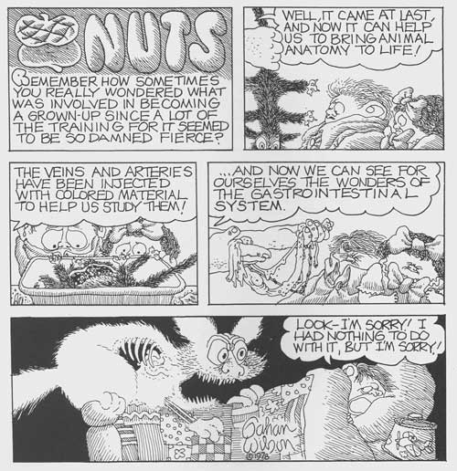 nuts-2