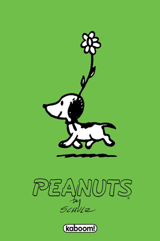 Snoopy cover