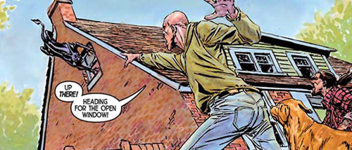 Article Image 4421
