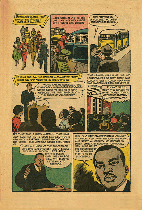 Article Image 0359