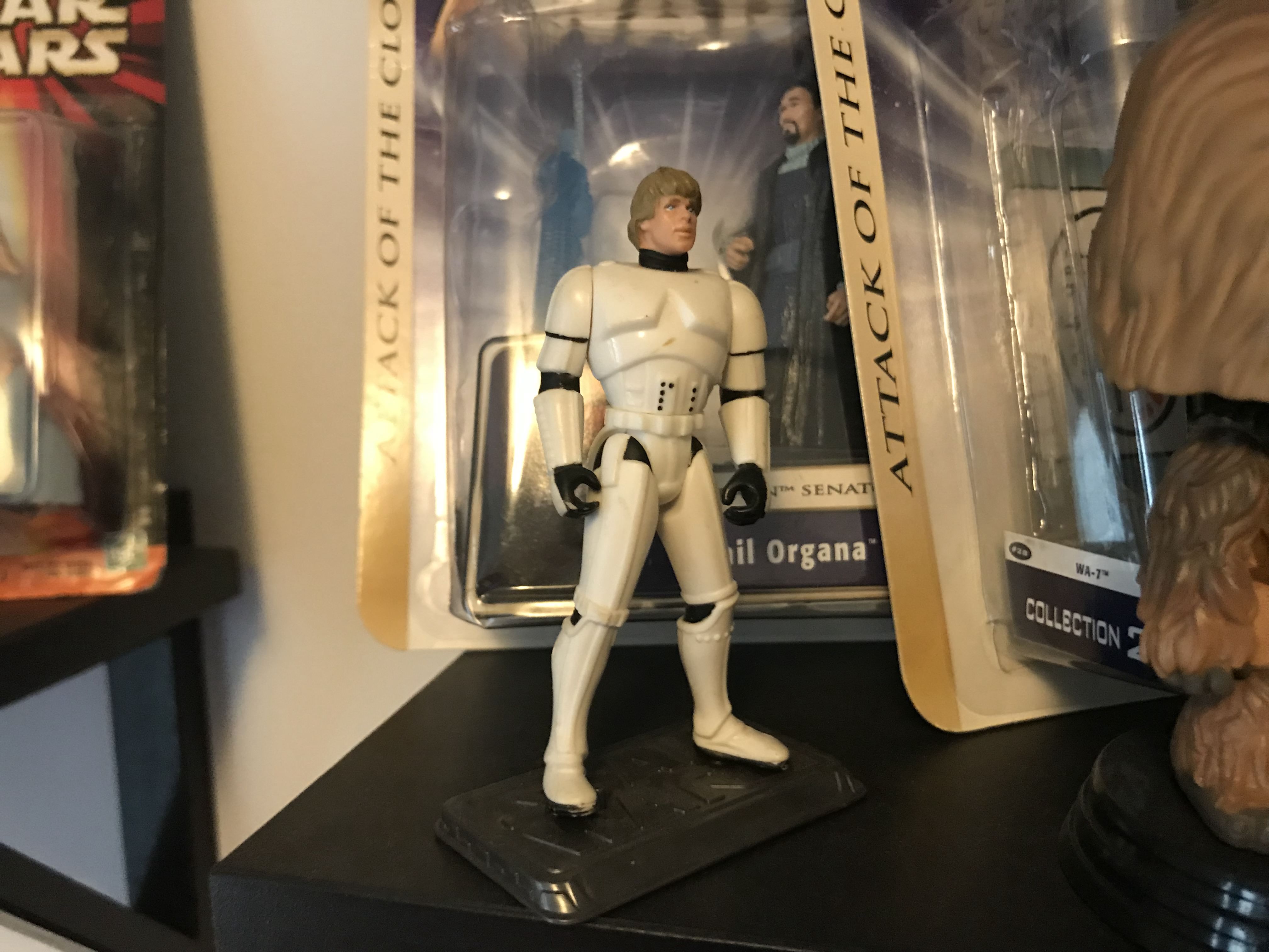 Collector's Corner Interview with Lights, Camera, Barstool Host Jeff Lowe Previews World