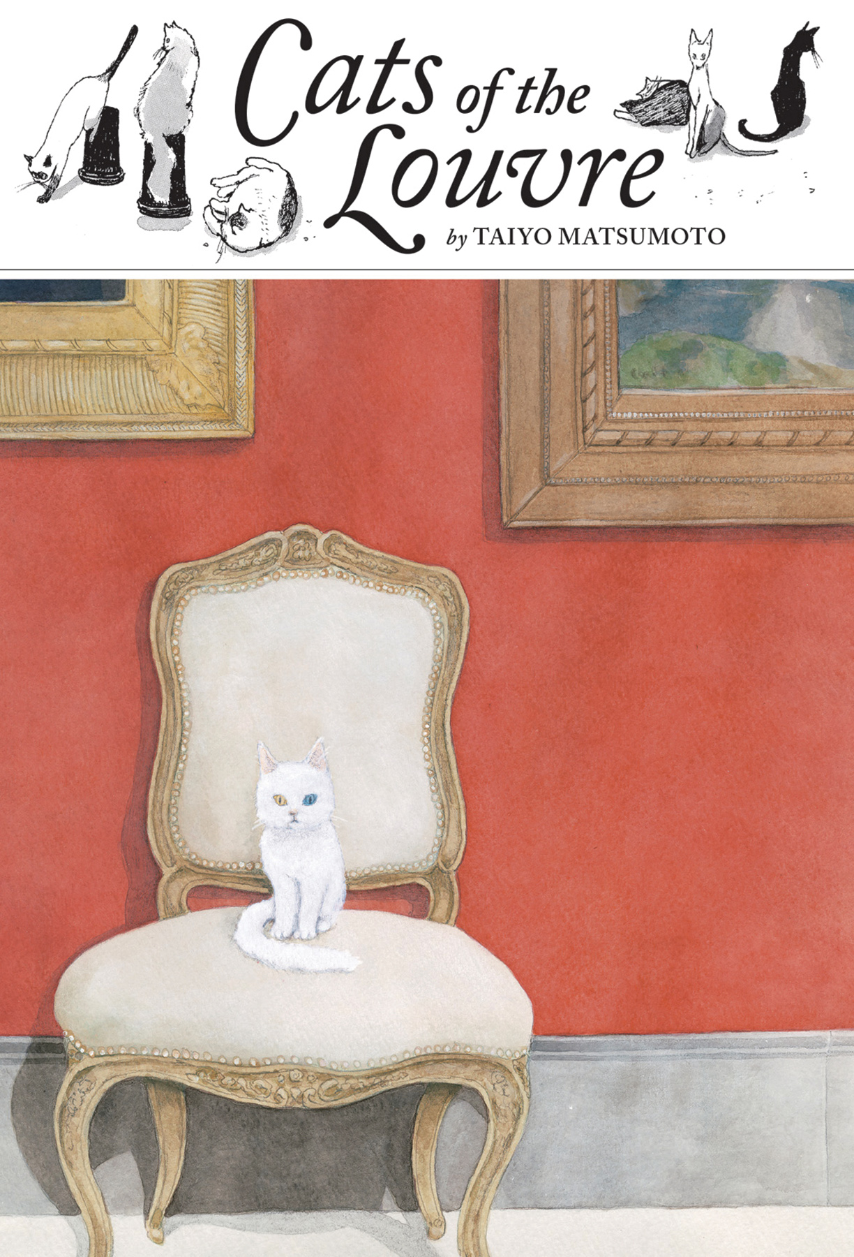 Article Image 5261