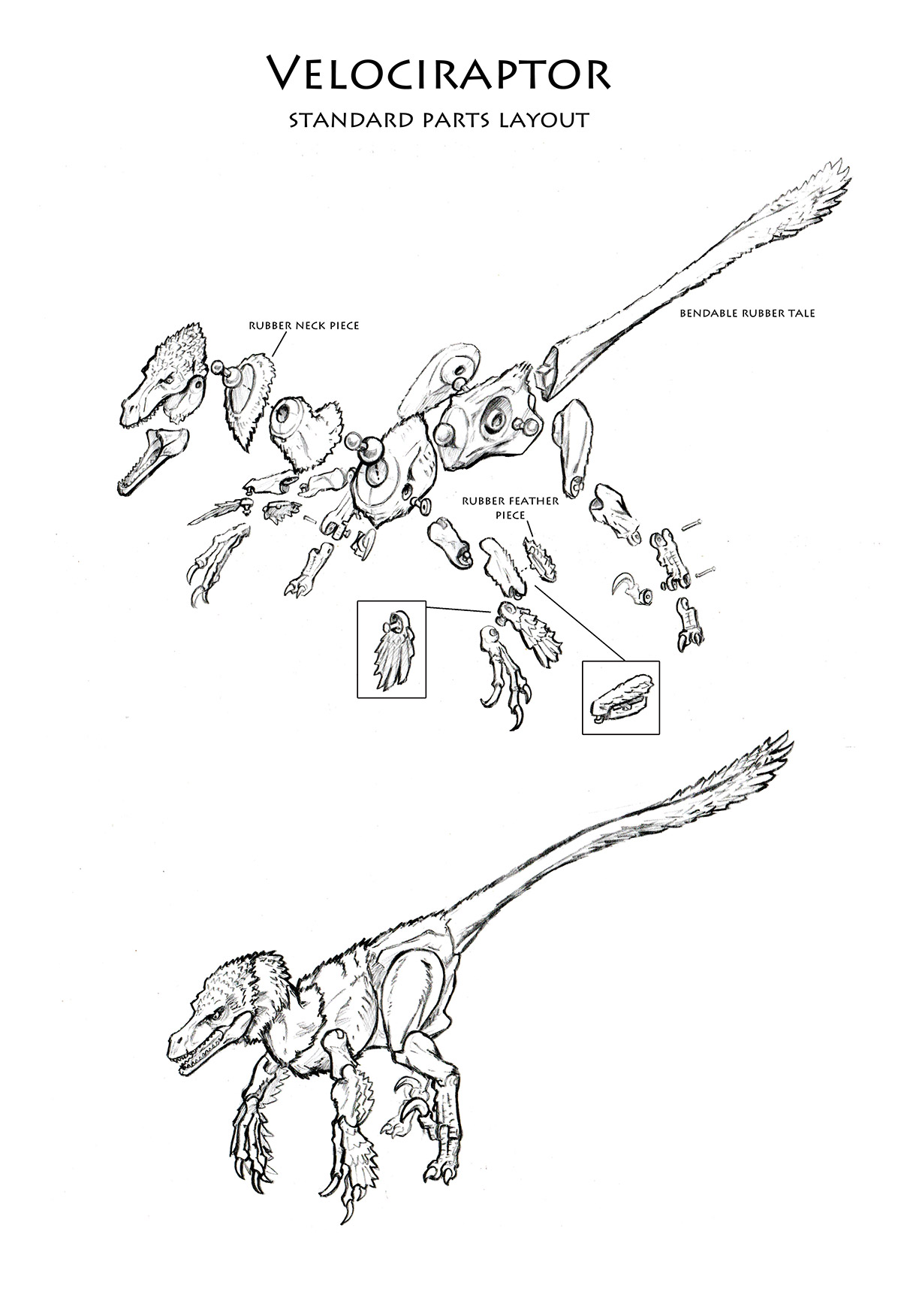 Article Image ced3
